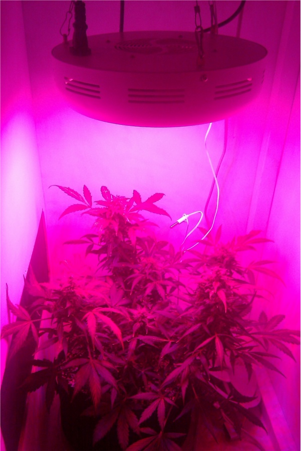 DIY - LED Grow Box w/ Carbon Filter| Build Instructions